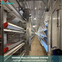 Cage à poulets en batterie entièrement automatique, haute capacité, structure durable, cage à poules pondeuses de type H, équipement d'élevage avicole