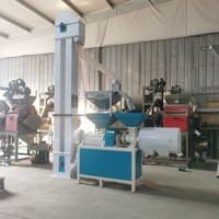 Machine automatique de décorticage de noix de coco pour l'industrie agroalimentaire