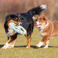 LY ETPU Popcorn Flying Disc Border Collie Steering Wheel Soft Bite-Resistant Interactive Tug-of-War Boredom Relief Classic Sport