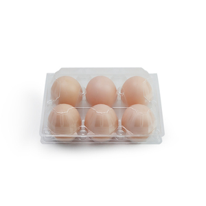 Großhandel 6 Löcher Huhn Kunststoff Clam shell Lagerung Verpackung Eier karton Tablett