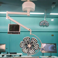 Lampe chirurgicale sans ombre à double tête, équipement d'éclairage chirurgical pour examens cliniques et vétérinaires