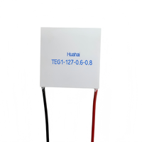 Module thermoélectrique à effet Seebeck/Peltier TEG1-127-0.6-0.8 pour générateur d'énergie haute température pour poêle à bois et dispositif solaire