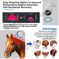 Appareil de stimulation magnétique équine pour la réparation des blessures sportives, dispositif de bien-être magnétique laser pour animaux, idéal pour les écuries.