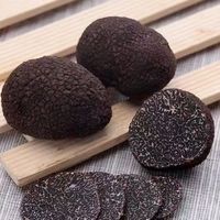 Truffe Champignons comestibles Champignons truffes