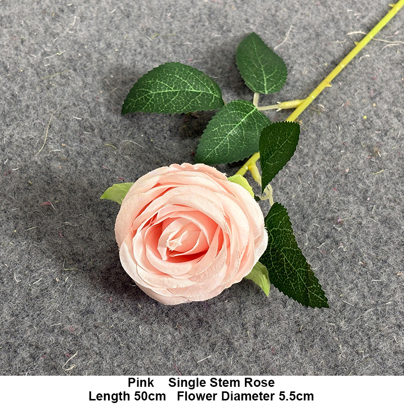 Rosa