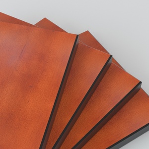 Paneles Compactos de Resina Fenólica Fundermax, Revestimiento de Paredes Exteriores, Paneles de Pared Exteriores, Encimera de Laminado para Cocina Exterior - Product Image 6