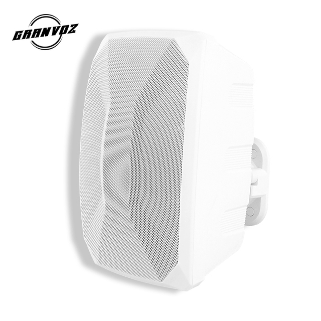 2024 Hot Sell High Quality Waterproof 6.5 Inch Power Max 80W 8 Ohms Outdoor Conference Hall Wall Speaker