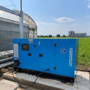 <span class=keywords><strong>Generador</strong></span> diésel trifásico de 100 kVA, 100 kW, silencioso, en venta - Product Image 2