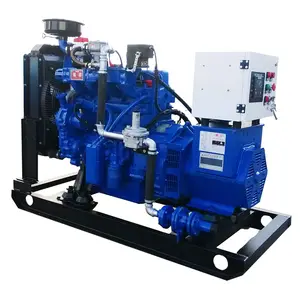 China Supplier Professional Diesel Engine generator set for sale