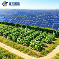 Support de fixation photovoltaïque à hauteur réglable pour ferme agrivoltaïque industrielle, pour la production d'énergie solaire sur terres agricoles