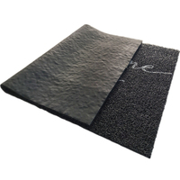 Tapis en fibre de coco de haute qualité, antidérapant, en PVC noir, tapis de porte