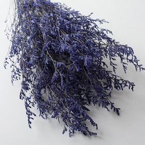 อุปทานโรงงานรักหญ้าที่เก็บรักษาไว้ <span class=keywords><strong>Limonium</strong></span> ธรรมชาติจริงเก็บรักษาไว้วาเลนไทน์หญ้าสำหรับตกแต่งบ้าน - Product Image 2