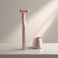 LEZIM-1605 Baguette de beauté pour le soin de la peau du visage et des yeux avec base de charge