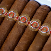 Bandas para Cigarros con Lámina Metálica y Relieve Texturizado, Accesorios para Cigarros