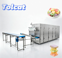 Nieuwe industriële snoepproductielijn met roestvrij staal en een capaciteit van 150-600 kg/u voor smaakstoffen