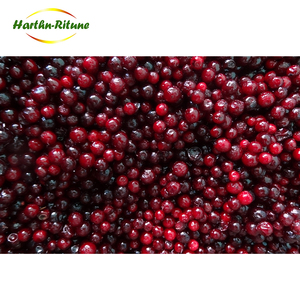 IQF myrtille baies de fruits - Product Image 1