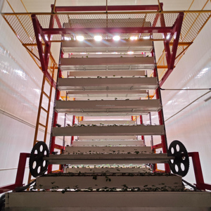 Grande ferme modulaire intégrée en conteneurs, automatisée et à entraînement par chaîne, conçue en usine pour l'agriculture urbaine - Product Image 6