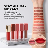 Lápiz Labial Líquido Mate de Terciopelo OEM Personalizado, Colores Personalizables, Libre de Crueldad Animal, Fórmula Suave de Larga Duración, Marca Privada de Lujo