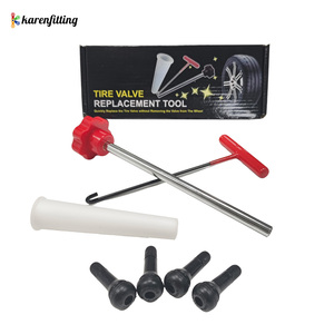 Outil de réparation professionnel pour tiges de valve, outil d'installation de pneus en métal, kit d'outils pour valve de pneu pour des réparations rapides de pneus de voiture/camion - Product Image 1