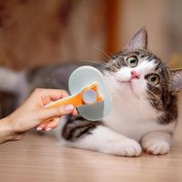 Peigne et brosse auto-nettoyants écologiques en acier inoxydable pour le séchage et le toilettage des animaux domestiques (chiens, chats, petits animaux)