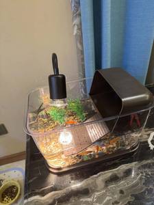 도매 사용자 정의 현대 대형 아크릴 수족관 테이블베이스 물고기 거북이 탱크 거실 홈 내구성 - Product Image 5