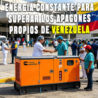 Générateur diesel triphasé Weichai Ricardo 300 Kva 300kw 400kva 400 Kva de marque américaine pour usage domestique 300kva