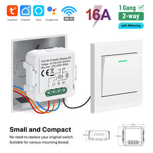 <span class=keywords><strong>Precio</strong></span> de Fábrica, Suministro Directo, Módulo de Interruptor Inteligente Wi-Fi Tuya de 16A, Pequeño y Compacto, 1 Canal con Medición PST-S01-16AM - Product Image 3