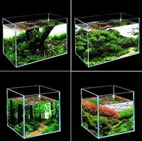 Aquarium carré transparent de 80 L pour poissons marins, réservoir d'eau salée de 75 gallons pour salon