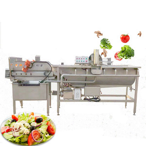 Industrial Grade <b>Vegetable</b> Cleaning Machine New Eddy Current Washing Equipment With Engine Core Component for Fruit Raw Material - Product Image 3