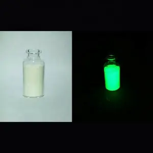 Stronzio Alluminato di Europium Glow in The Dark Polvere con Il Migliore Prezzo per Il Rivestimento/di Plastica/Resina/Vetro, ecc