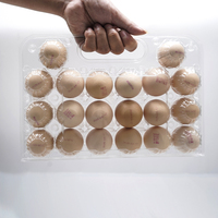 Vente en gros de barquettes à œufs en plastique transparent CPET légères, boîtes de rangement sécurisées pour œufs, emballage blister pour élevages de poulets
