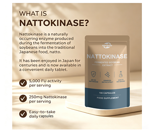 Capsules de Nattokinase 5000FU de Fabricant OEM - Supplément enzymatique haute puissance 250mg à base de soja fermenté pour la santé cardiovasculaire - Product Image 3