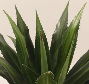JWS4079 Agave artificielle en plastique en pot, décoration intérieure, respectueuse de l'environnement, petite plante paysagère de Noël - Product Image 3