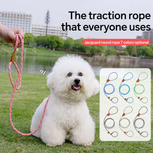 Correa y Collar para perros de varios colores, cuerda P de plomo, entrenamiento para caminar al aire libre, correas duraderas para perros, accesorios para perros - Product Image 2