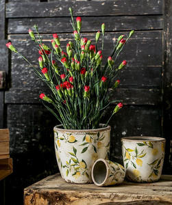 <span class=keywords><strong>Pot</strong></span> <span class=keywords><strong>de</strong></span> <span class=keywords><strong>fleurs</strong></span> en céramique nordique vintage, jardin <span class=keywords><strong>extérieur</strong></span> créatif hydroponique taille succulente paille verte cuivre argent herbe - Product Image 6