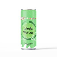 Eau pétillante aromatisée au citron vert sans sucre 330ml Zero Guilt OEM ODM disponible avec des saveurs personnalisables