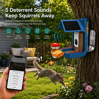 Hibirds 4MP 5200mAh batterie 1.8L capacité mangeoire à oiseaux caméra solaire AI identifier les chassant les écureuils Capture