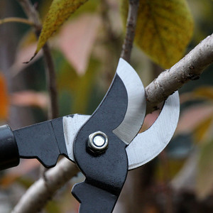 Cisaille à Branches Épaisses à Prix Abordable, Tête de Coupe en Acier Inoxydable, <span class=keywords><strong>Ciseaux</strong></span> de Jardin Robustes et Tranchants, Accessoires de Jardinage Manuels - Product Image 2