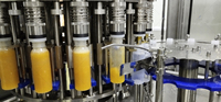Sapproductielijn Drankproductielijn Verwerkingslijn Sapverwerkingsmachine
