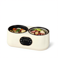 Cuisinière à riz électrique double mini nouvelle conception, antiadhésive, faible teneur en sucre, alimentation USB pour la maison, l'hôtel, la voiture, l'extérieur