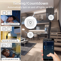 SIXWGH 16A Mini interruptor de luz inteligente regulable WiFi Alexa Control de voz temporizador cuenta regresiva Compatible Android eléctrico para hogar inteligente