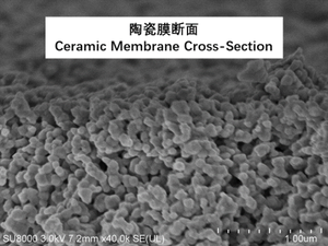 Capa de Soporte Porosa, Capa de Transición, <span class=keywords><strong>Membrana</strong></span> Cerámica de Óxido de Grafeno (GO) - Product Image 5