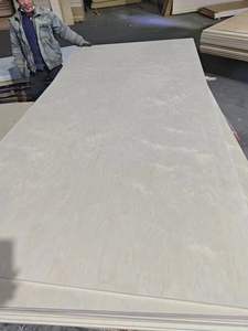 Contreplaqué de bouleau <span class=keywords><strong>BB</strong></span>/<span class=keywords><strong>BB</strong></span> B/<span class=keywords><strong>BB</strong></span> sablé et traité anti-UV pour fonds de caisse de sonorisation d'instruments de musique, panneaux publicitaires, armoires, placards et meubles - Product Image 3