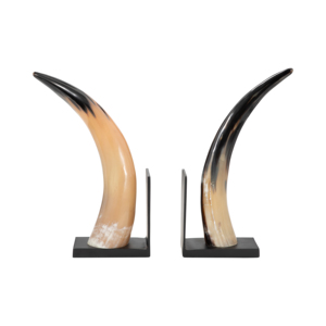 Fermalibri in Resina a Forma di Corno, Decorazione Scultorea Moderna per Esposizione su Libreria - Product Image 1
