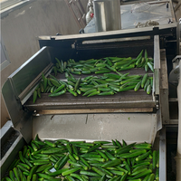 XIYUAN Automatische Luchtbel Fruit- en Groentewasmachine met Nauwkeurige Temperatuurregeling voor Restaurantgebruik, Maïsverwerking, Nieuw
