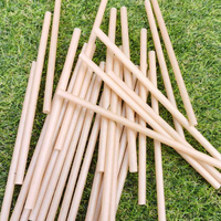 Pailles en fibre de canne à sucre 24H sans humidification, écologiques et durables pour la consommation, idéales pour les cafés, bars, traiteurs – Prix usine