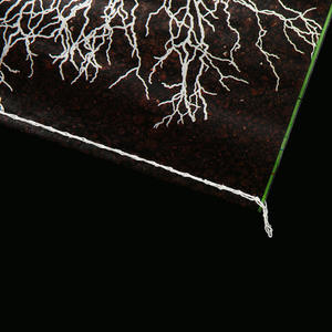 Sacchetto Personalizzato per Terriccio, Sacchetto in Plastica Tessuta Stampato per Fertilizzante Organico, Fornitura del Produttore di Sacchetti per Fertilizzante da Giardino - Product Image 4