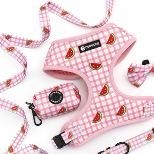 <span class=keywords><strong>Harness</strong></span> dan Tali Anjing Bordir Personalisasi, Set <span class=keywords><strong>Harness</strong></span> Anjing Kecil Custom, <span class=keywords><strong>Harness</strong></span> Hewan Peliharaan, Tali Anjing Custom - Product Image 3