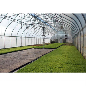 Fabricant de serres simples pour la plantation de légumes et de fruits, serres à arche pour <span class=keywords><strong>le</strong></span> printemps et l'<span class=keywords><strong>automne</strong></span> - Product Image 3