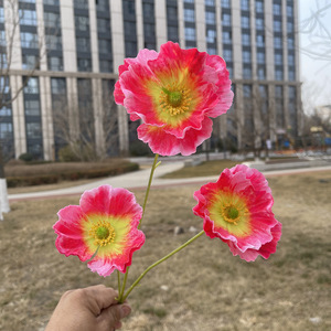 Hoa Nhân Tạo 3 Đầu Cao Monet Poppy Đám Cưới Đường Hướng Dẫn Trang Trí Hoa <span class=keywords><strong>Papaver</strong></span> Rhoeas - Product Image 4